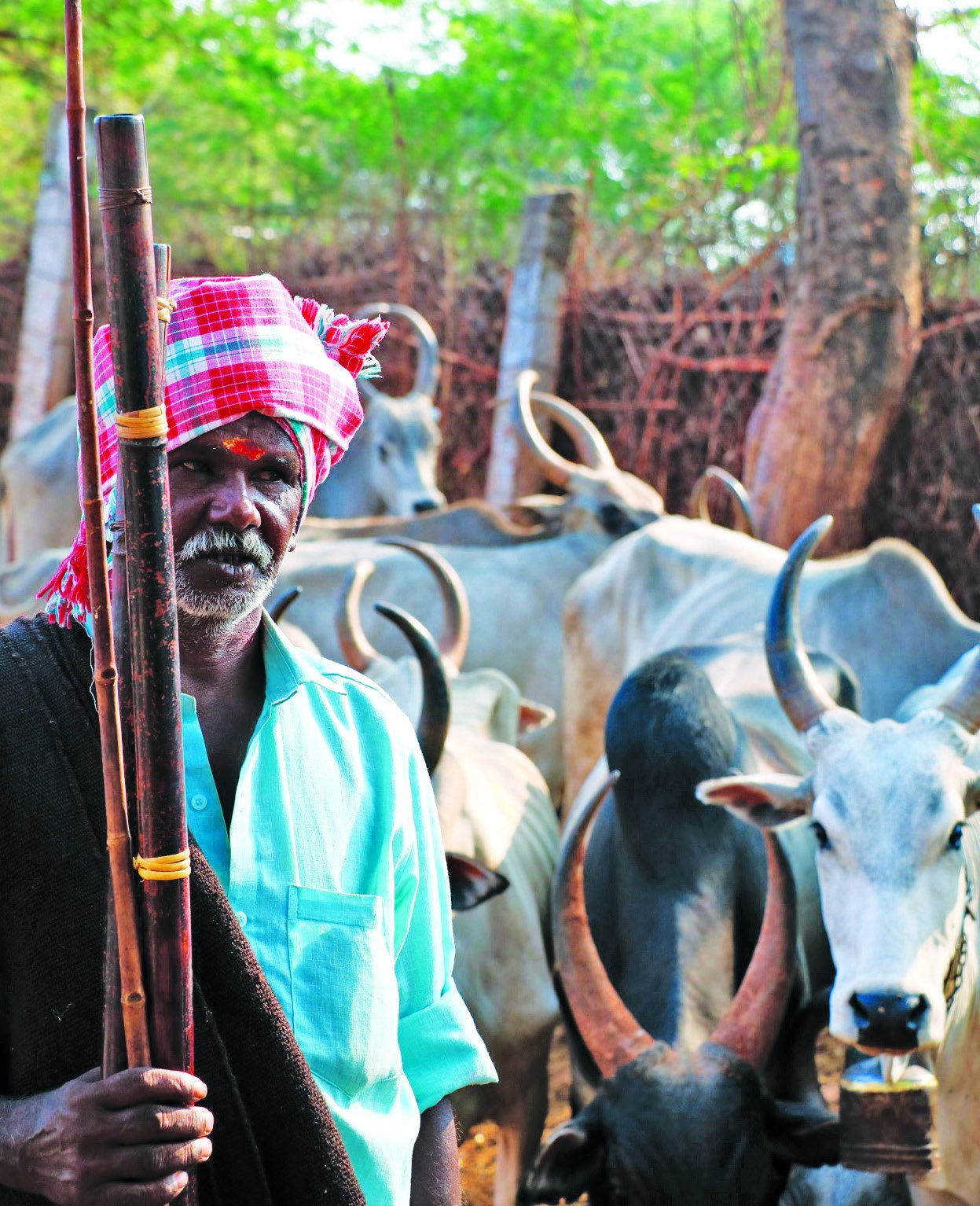 Mullai Thinai heritage
